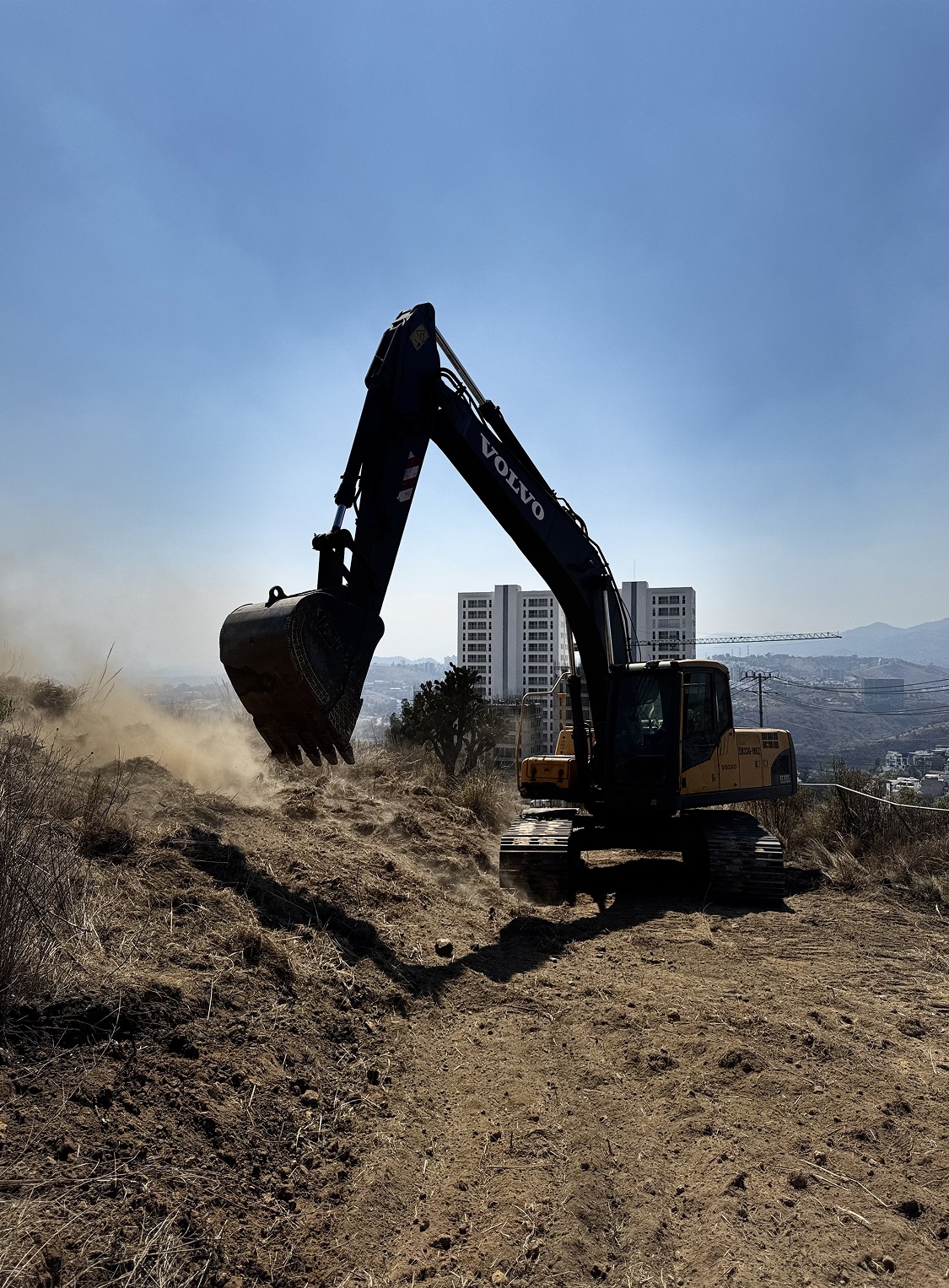 excavadora en renta trabajando